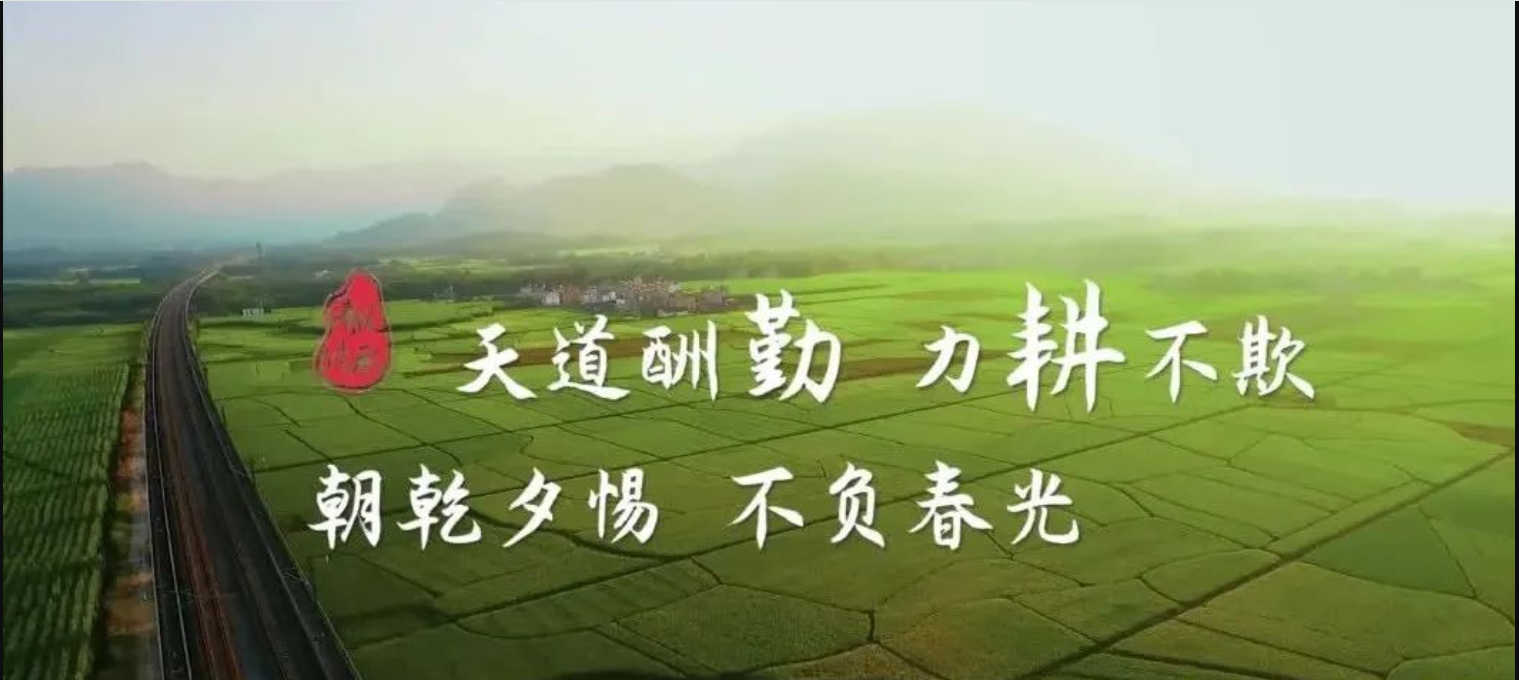 【清風傳承】立春：天道酬勤 不負春光