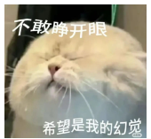 《北江心理半“月”談》第二十五期預(yù)告（心理危機）與前期回顧